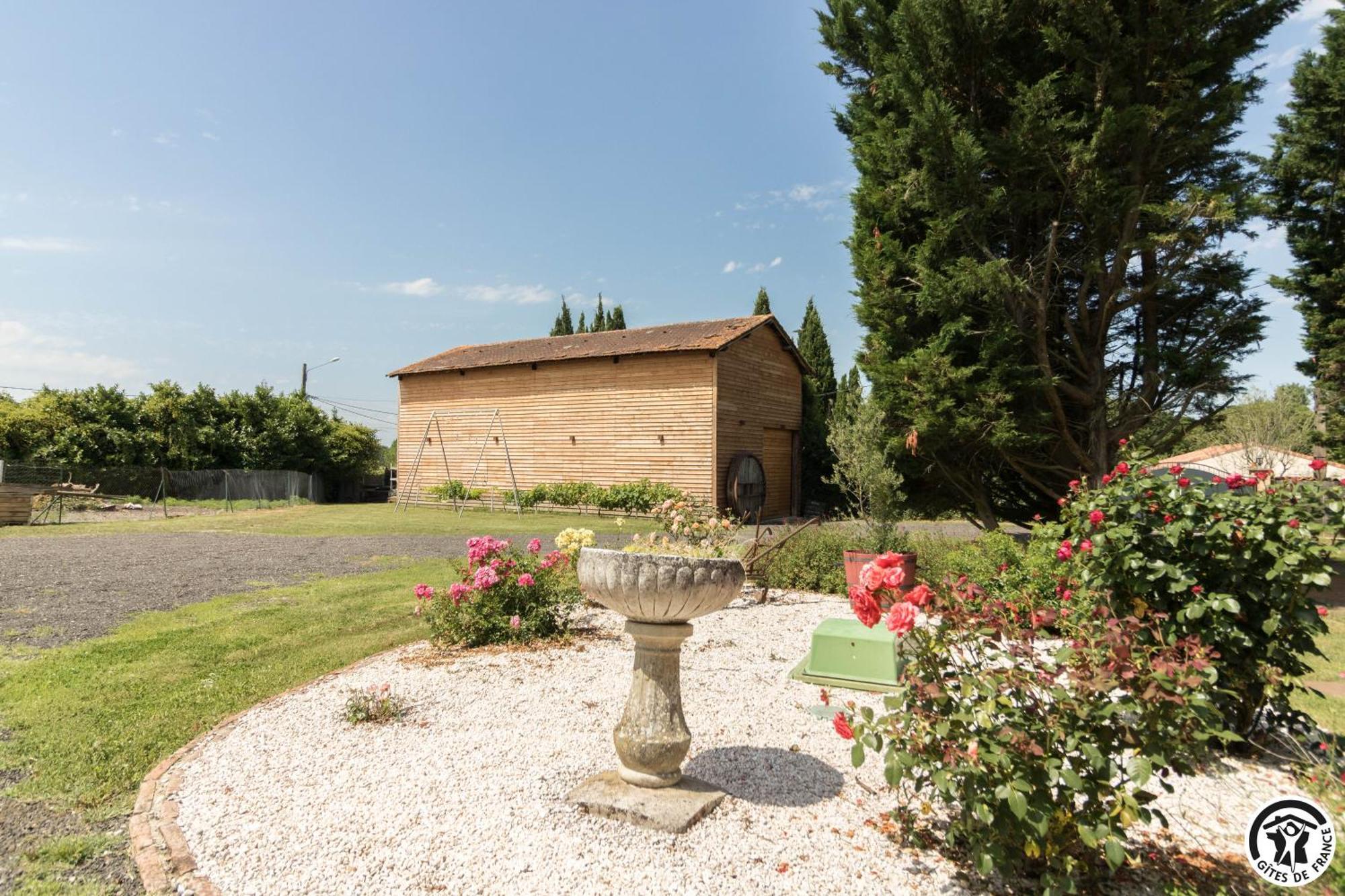 Gite Des Moulins Castelnau-dʼEstrétefonds Exterior foto